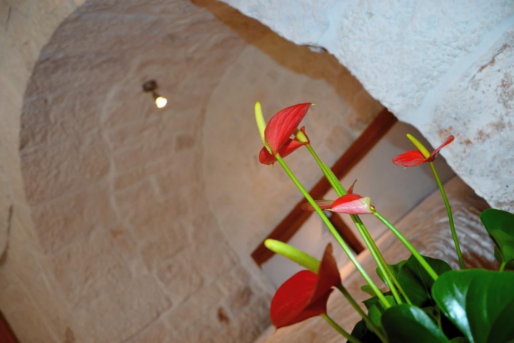 فيلا Il Trullo Del Mirto سيلفا دو فاسانو المظهر الخارجي الصورة