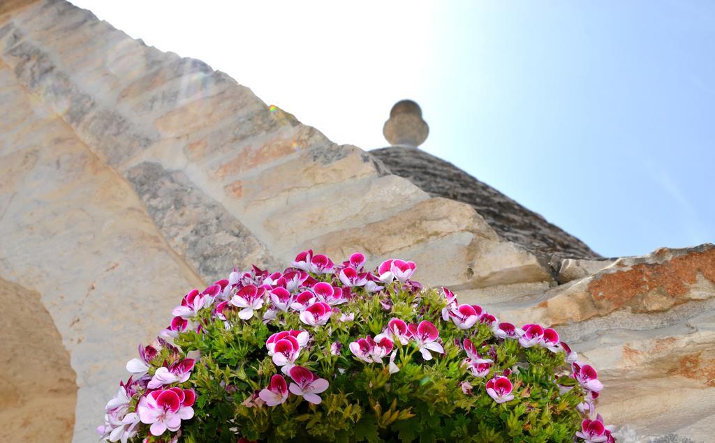فيلا Il Trullo Del Mirto سيلفا دو فاسانو المظهر الخارجي الصورة